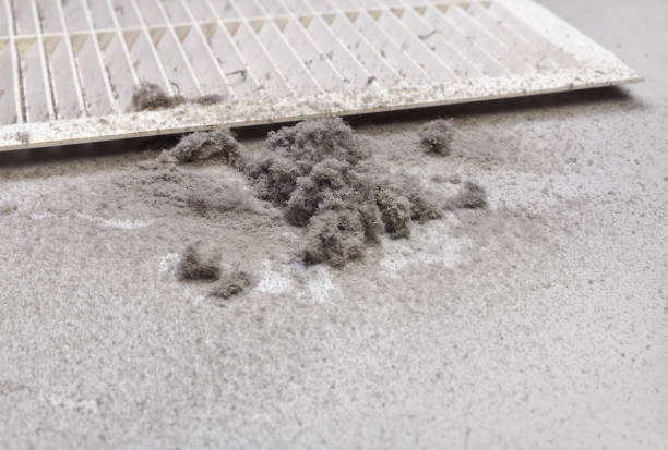 Best HVAC Duct Inspection Services  in Level Green, PA